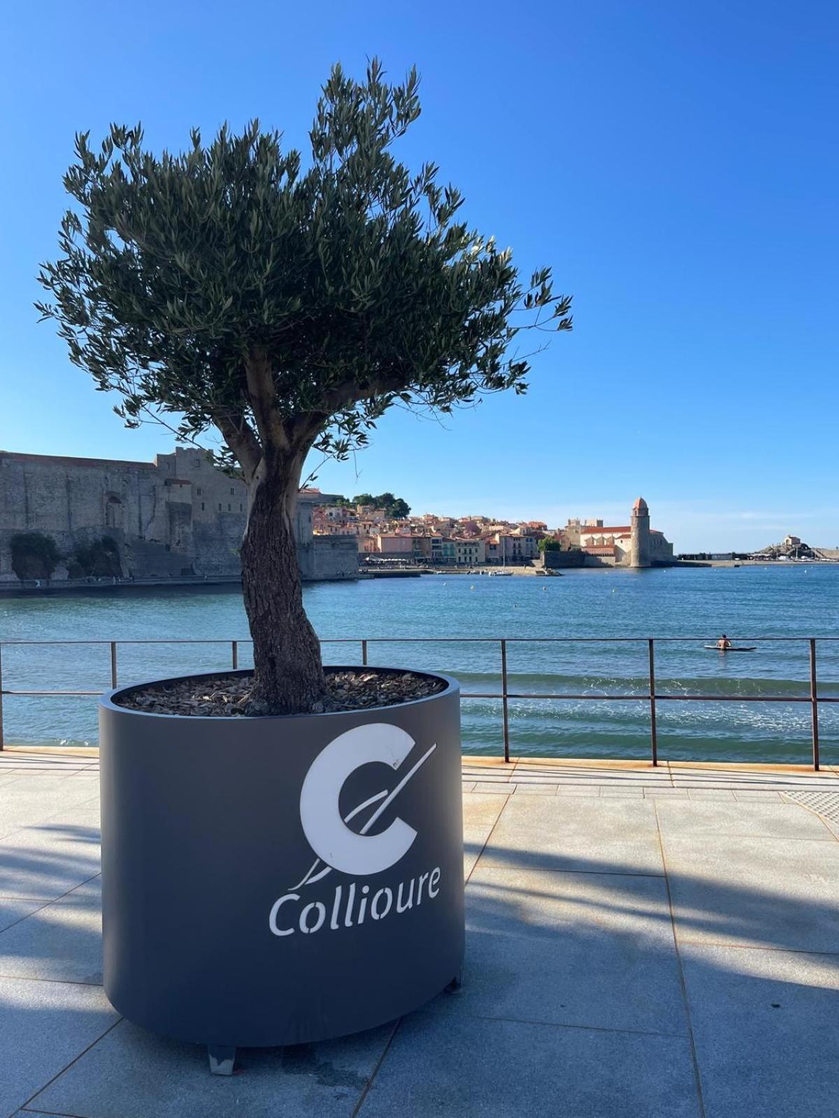 Azur-Les Pieds Dans L'Eau-Vue Sur Mer Et Clocher De Collioure En Toile De Fond - Wifi Fibre- Parking Couvert Exterior foto